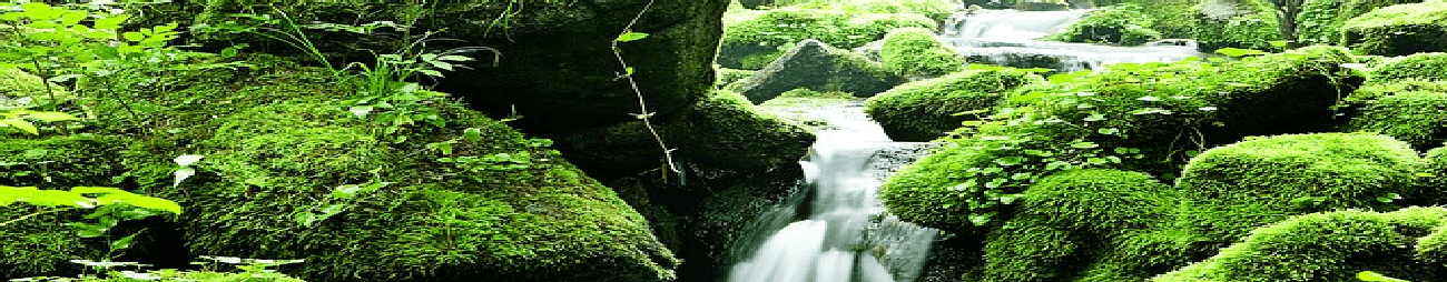 Valor ambiental
