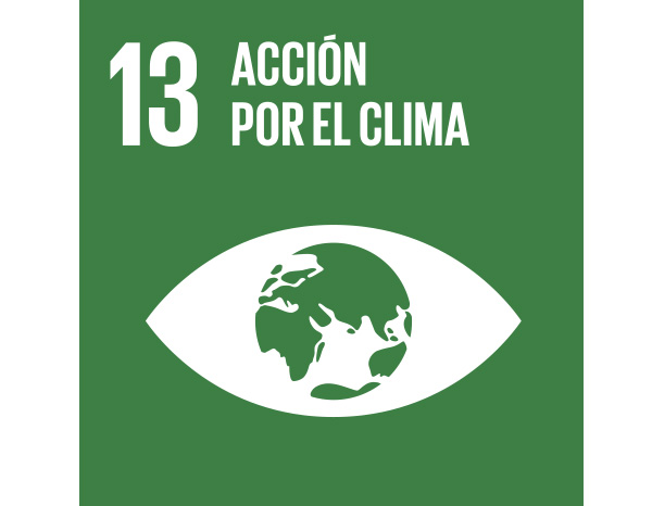LOGO ods13