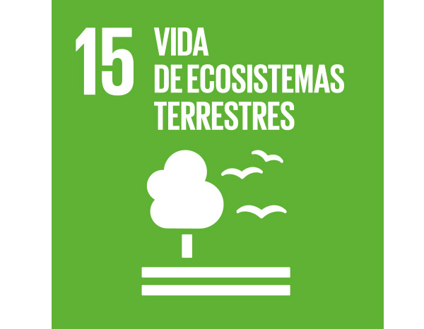 LOGO ods15