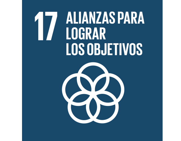 Logo ods17