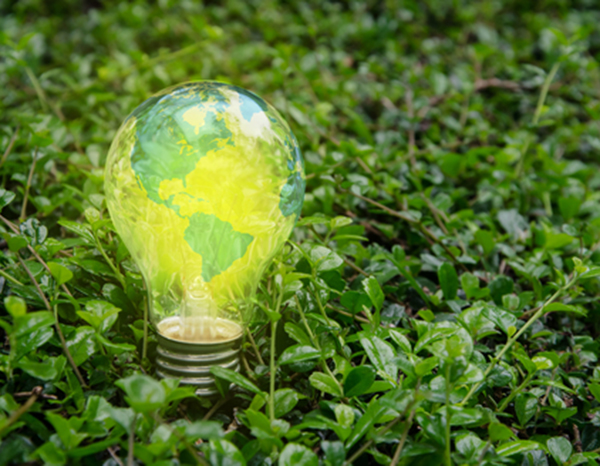 Día Mundial de la Eficiencia Energética