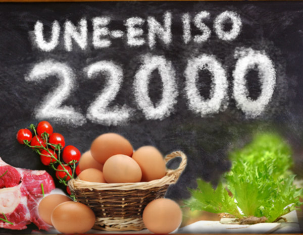 ISO 22000 en español